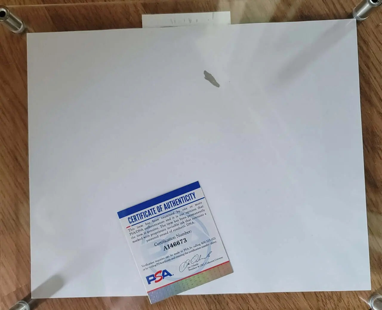 Haley Cowen, Photo, Certified,Authentic