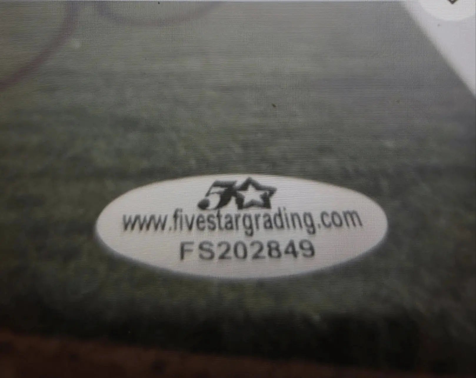 Blue Steele, Signed, Autographed, Record Album, Certified, COA Rosa's Aromatherapy