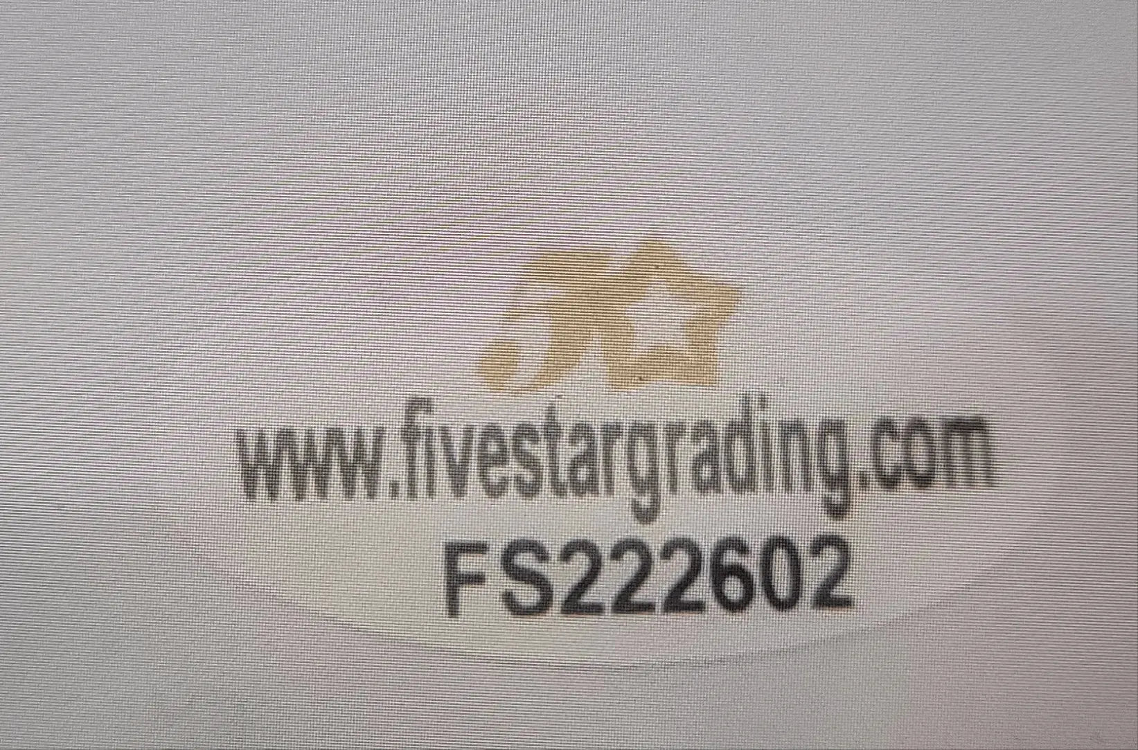 Chandler Parsons, Autographed/Signed 8x10 2/COA