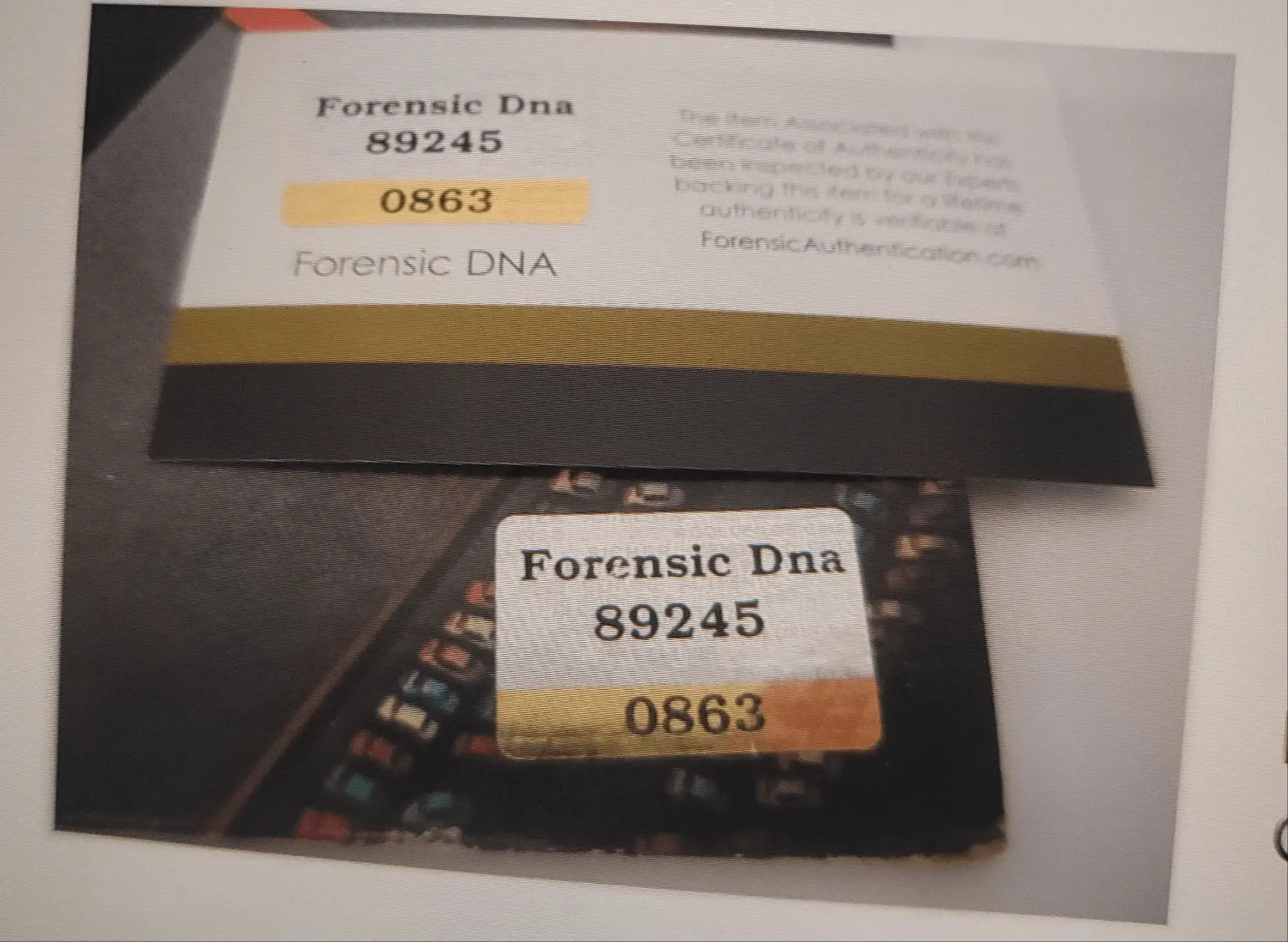 Starz, Signed/Autographed Record With COA