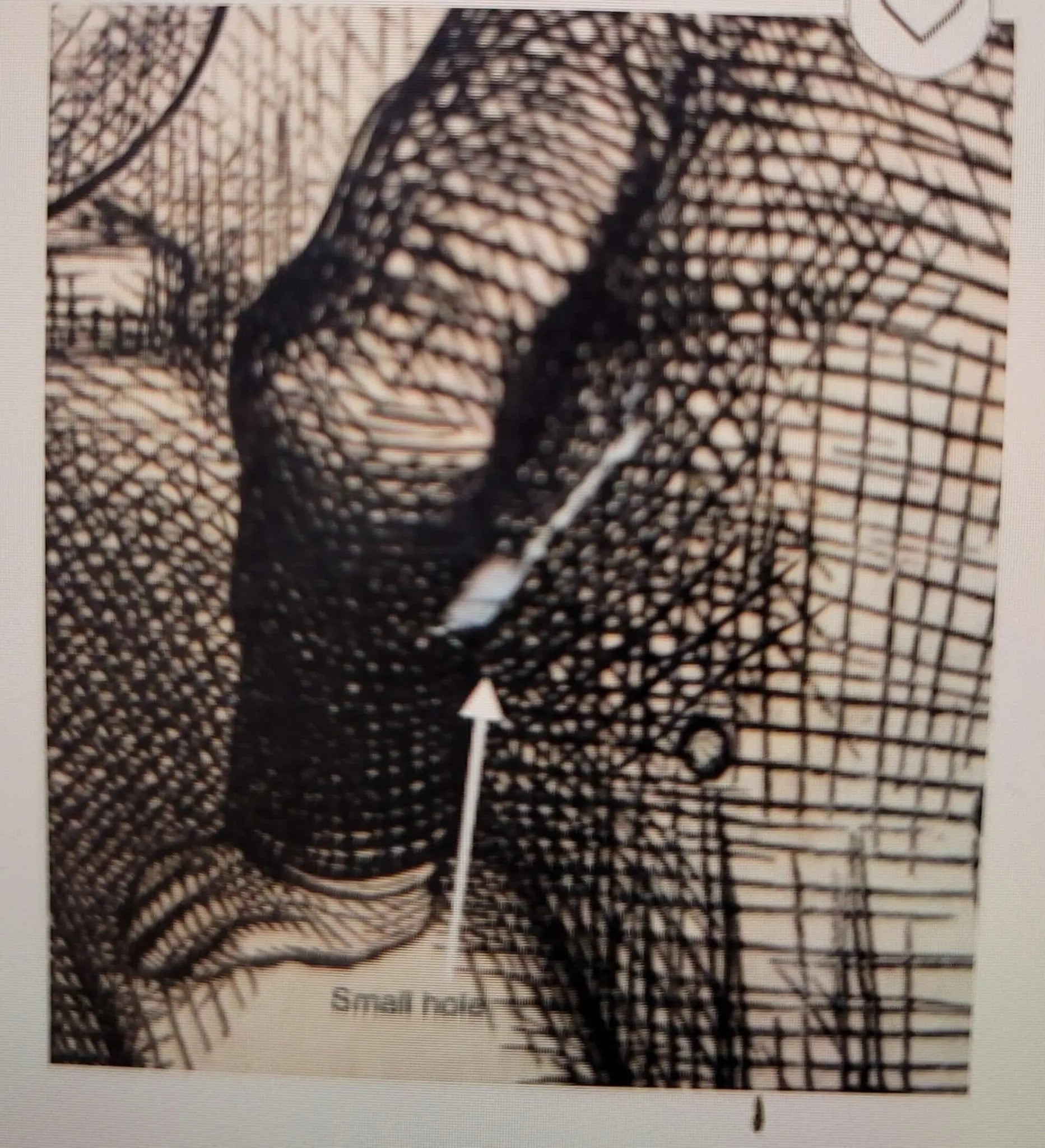 CALLING ON MISS COLUMBIA, NEW-YEARS DAY, 1876,